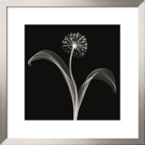 Into the Night I Print by Jim Wehtje