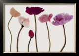 Colourful Poppies Posters por Katja Marzahn Colourful Poppies Posters por Katja Marzahn