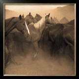 Remuda, Spanish Ranch Prints by Adam Jahiel