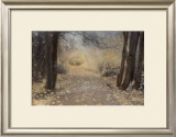 Silent Path Posters by Barbara Kalhor