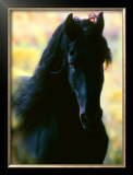 Unknown Framed Giclee Print by Mark Barrett