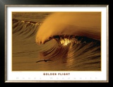Golden Flight Prints by Woody Woodworth