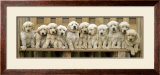 Puppy Squeeze Pôsters por Keith Kimberlin