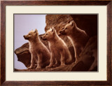 Wolf Pups Poster by Jim Brandenburg