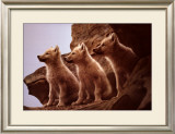 Wolf Pups Prints by Jim Brandenburg