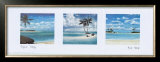 Tropical Trilogy Posters by Rick Novak