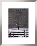 Winter Flight Prints by Bob Timberlake