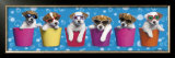 Shady Pups Print by Keith Kimberlin