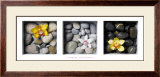 Flowers and Stones Posters by Dave Brullmann