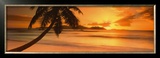 Sunset Prints Sunset Prints