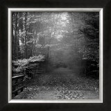 Autumn Walk Prints by Mary Ruppert
