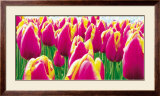 Tulips Prints by Jan Lens