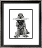 Dog News Posters by Jean-Michel Labat