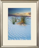 New Mexico Prints by Cassaigne 