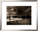 Horse Looking at the river, Normandie 99 Prints by Olivier Meriel
