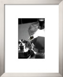 Utensils I Posters by Malcolm Sanders