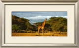 Kimana Area - Kenya Print by Daryl Balfour