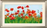 Poppy Fields Prints by Jan Lens