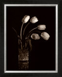 Dramatic Tulips Posters by Dick & Diane Stefanich
