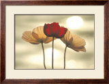 Icelandic Poppies Print by Yoshizo Kawasaki