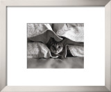 Untitled Prints by Nahum Baron