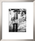 Autumn Shadows I Prints by J. Gomis