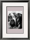 Birds Eye View Print