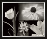 Summer Garden I Art by Dennis Frates