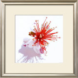 Vulkan Prints by Ingrid Ulmer