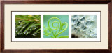 Green Nature Art by Brigit Koch