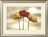 Icelandic Poppies Prints by Yoshizo Kawasaki