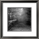 Autumn Walk Prints by Mary Ruppert