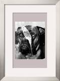 Birds Eye View Prints