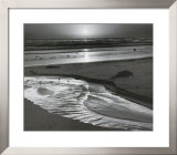 Birds On A Beach Posters by Ansel Adams