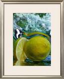Limone Prints by Michael Meisen