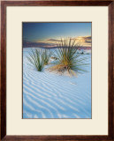 New Mexico Print by Cassaigne 