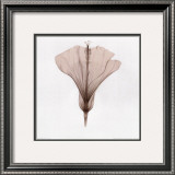 Silhouette III Prints by Allen Van