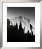 El Capitan in Trees Print by Bradford Smith