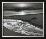 Birds On A Beach Prints by Ansel Adams