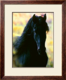 Unknown Framed Giclee Print by Mark Barrett