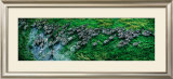 Zebras, Okavango Delta Prints by Steve Bloom