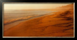 Cape Cod Shore Posters by William Neill