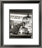 Child, Cat and Dove Prints by Robert Doisneau