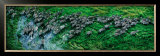 Zebras, Okavango Delta Prints by Steve Bloom