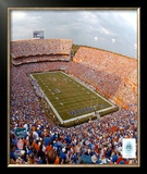 Ben Hill Griffin Stadium Framed Photographic Print