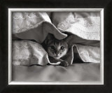 Untitled Print by Nahum Baron