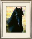 Unknown Framed Giclee Print by Mark Barrett