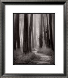 Winding Path, San Francisco Posters por William Scott