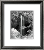 Nature's Jewel I Art by Mike Jones