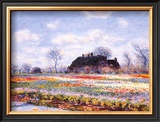 Tulip Fields at Sasenheim Posters by Claude Monet
